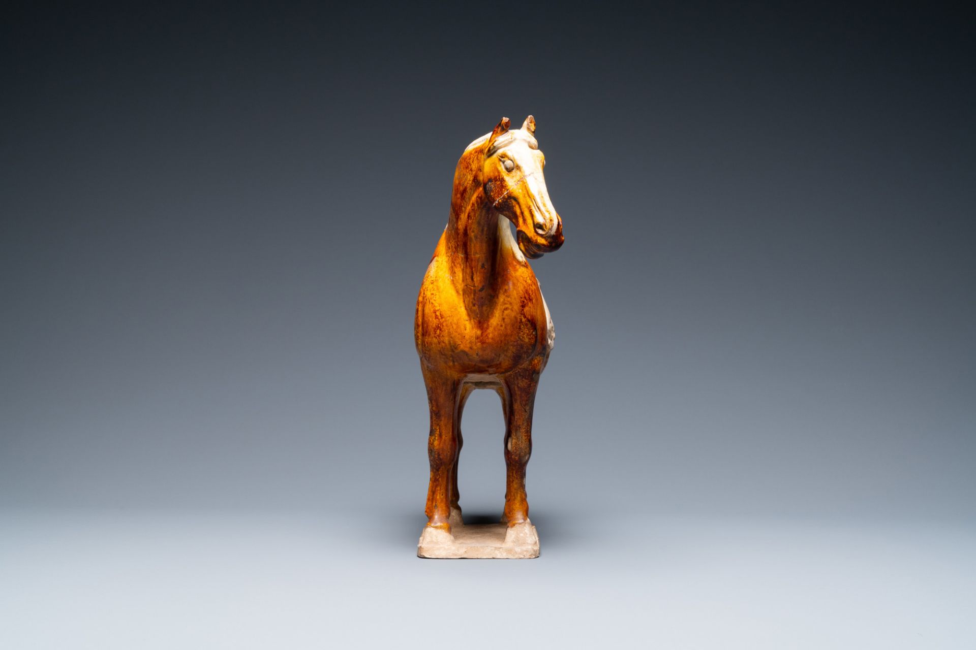 A Chinese amber- and cream-glazed pottery model of a horse, Tang - Image 5 of 7