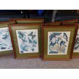 MARJORIE BLAMEY prints, a set of six - wildlife themed, 29 x 23cms and other prints/engravings