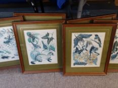 MARJORIE BLAMEY prints, a set of six - wildlife themed, 29 x 23cms and other prints/engravings