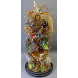 TAXIDERMY - Victorian study of seven colourful exotic birds under a glass dome on a circular