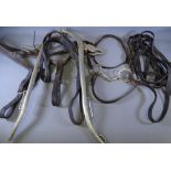 EQUESTRIAN ITEMS - hames, leathers ETC