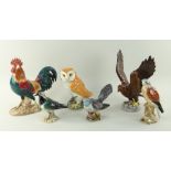 ASSORTED BESWICK GLOSS BIRDS comprising Lapwing (2416), Cuckoo (2315), Kestrel (2316), Golden