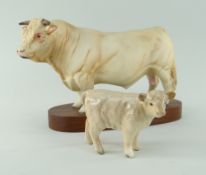 BESWICK POTTERY CONNOISSEUR CHAROLAIS BULL, matt on plinth with label, 15cms high, with gloss
