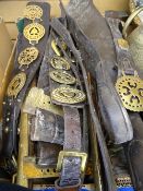 SHIRE HORSE LEATHERS, straps of horse brasses, brass and oak hames, a good box full