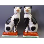 STAFFORDSHIRE POTTERY CATS - a pair, black and white with separate front legs on rust cushion bases,