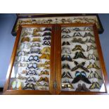 ENTOMOLOGY - two Early 20th Century framed displays containing Swallow Tail and other butterflies,