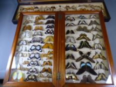 ENTOMOLOGY - two Early 20th Century framed displays containing Swallow Tail and other butterflies,