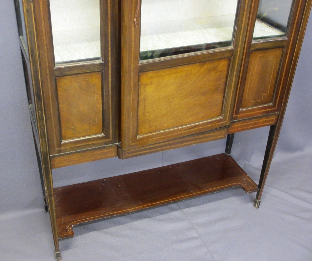 MAHOGANY INLAID BREAKFRONT DISPLAY CABINET, single door, with floral upholstered shelves and back, - Image 3 of 5