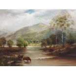 INDISTINCTIVELY SIGNED oil on canvas - highland cattle at riverside, 37 x 50cms