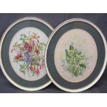 ELEANOR LUDGATE watercolour - a pair of oval format still life, signed, 36 x 27cms