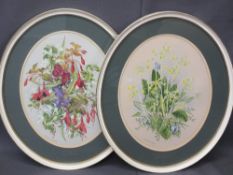 ELEANOR LUDGATE watercolour - a pair of oval format still life, signed, 36 x 27cms