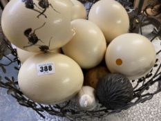 OSTRICH EGGS & POSSIBLY PACIFIC ISLAND SEEDS ETC in a wire basket