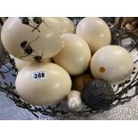 OSTRICH EGGS & POSSIBLY PACIFIC ISLAND SEEDS ETC in a wire basket