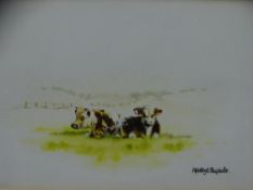 MANDY SHEPHERD watercolour - two resting red and white cattle, signed in full, 8 x 11cms