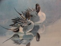 CHARLES F TUNNICLIFFE coloured limited edition print 335/500 - two pintail ducks, signed in full, 55