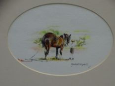 MANDY SHEPHERD watercolour, oval format - a standing working horse with handler, signed in full,