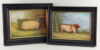 MODERN BRITISH SCHOOL oil on canvas, a pair - portrait of a prize cow and portrait of a prize pig in