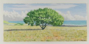 MICHAEL WILLIAMS (b. 1936) watercolour - Juniper (on Paros), signed with initials and dated 2002