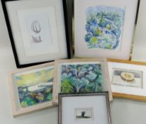 DILYS JACKSON / EILEEN ALLAN / LEWIS ALLAN & UNKNOWN six various medium - framed and glazed original