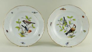 PAIR MEISSEN PORCELAIN ORNITHOLOGICAL DISHES, centres painted with passerines perched in shrubs,