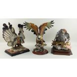 THREE LARGE ITALIAN MODELS OF BIRDS, comprising capercaillie, great argus pheasant and a bald