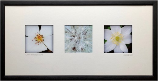CERI LEIGH photo series Entitled 'Flower textures White 67cm x 34cm glazed and framed in white