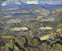 DAVID LLOYD GRIFFITH oil on board - landscape, entitled verso 'Silage Fields, Rhyd y Foel', signed