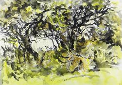 ARTHUR GIARDELLI mixed media - entitled verso 'Pembrokeshire Thorn Trees', monogrammed, 48 x 69cms