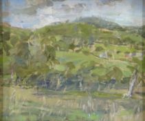 DIANA ARMFIELD RA oil on board - north Wales landscape, entitled verso 'Landscape Above Llanfor',