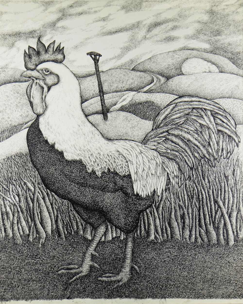 SEREN BELL large pen and ink on paper - study of a cockerel in a landscape, 69 x 64cms Provenance: