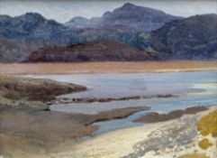CHRISTOPHER WILLIAMS R.B.A. oil on board - Gwynedd landscape, entitled verso 'Cader Idris from