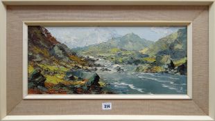 CHARLES WYATT WARREN oil on board - entitled verso 'River Llugwy', signed, 23 x 53cms Provenance: