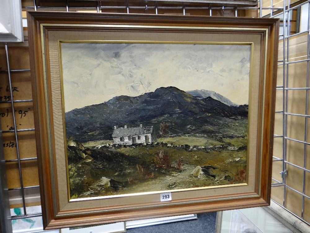 GWYNETH TOMOS oil on canvas - entitled verso 'Murddyn', 39 x 49cms Provenance: private collection, - Image 2 of 4