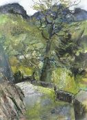 GWILYM PRICHARD mixed media - eastern drive towards Plas-Tan-Y-Bwlch study centre known as Oakley