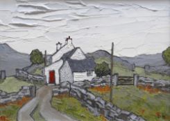 DAVID BARNES oil on board - whitewashed cottage with red door in landscape, signed with initials and