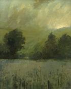 IEUAN MEIRION PUGH oil on canvas - entitled verso 'Morning Nanteos Ceredigion', signed, 74 x 59cms