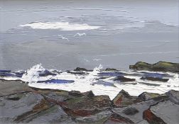 DAVID BARNES oil on board - coastal scene waves and gulls, signed with initials, 39 x 53cms