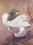 CHARLES FREDERICK TUNNICLIFFE OBE RA Fine Art Guild blindstamped print - study entitled 'Greylag