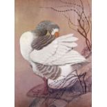 CHARLES FREDERICK TUNNICLIFFE OBE RA Fine Art Guild blindstamped print - study entitled 'Greylag