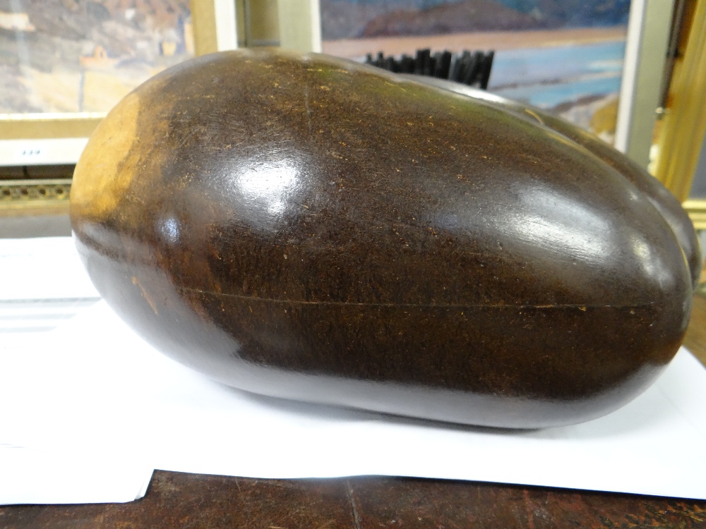 POLISHED COCO DE MER SEED (Lodoicea maldivica), of typical form, 24cms high Provenance: private - Image 4 of 4