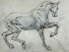 SIR EDWARD COLEY BURNE-JONES (1833-1898) pencil and chalk on paper - ecorché figure of a horse,