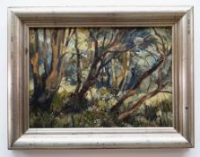 STELLA WATRAS oil on board - 'Sun in the Woods', signed with initials, 24 x 34cms Condition