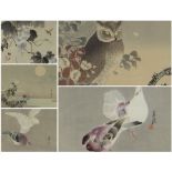 VARIOUS UKIYO-E ARTISTS five woodblock prints - OHARA KOSON pigeons, NAGAMACHI CHIKUSEKI grapevine