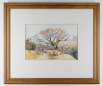 ELIZABETH HAINES watercolour - 'Winter Hawthorn', signed and dated 1988, 19 x 27.5cms Condition