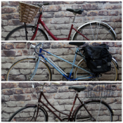 THREE RALEIGH LADIES BICYCLES, comprising 17" blue Wisp, 21" pink Caprice and 21" purple Cameo