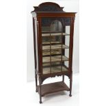 LATE VICTORIAN CARVED MAHOGANY DISPLAY CABINET, arched back, bevel glass fitted door and sides,