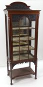 LATE VICTORIAN CARVED MAHOGANY DISPLAY CABINET, arched back, bevel glass fitted door and sides,