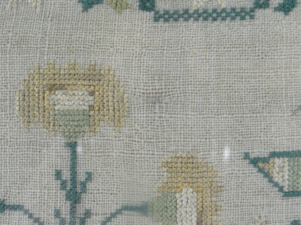 WILLIAM IV NEEDLEWORK SAMPLER, by Mary Ashworth 1834, decorated with flowering urns and squirrels - Image 6 of 8