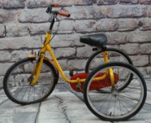 PASHLEY PICKLE CHILD'S TRICYCLE