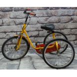 PASHLEY PICKLE CHILD'S TRICYCLE